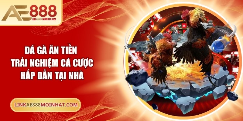 Đá gà ăn tiền