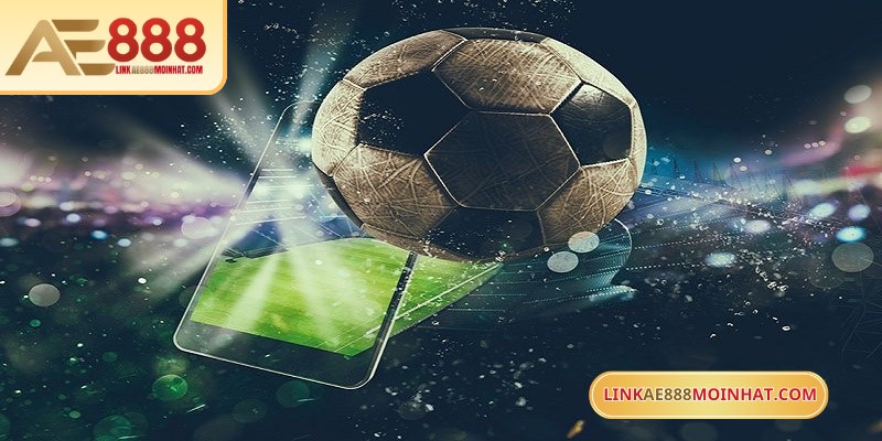 Thuật ngữ cửa trên và cửa dưới trong cá cược