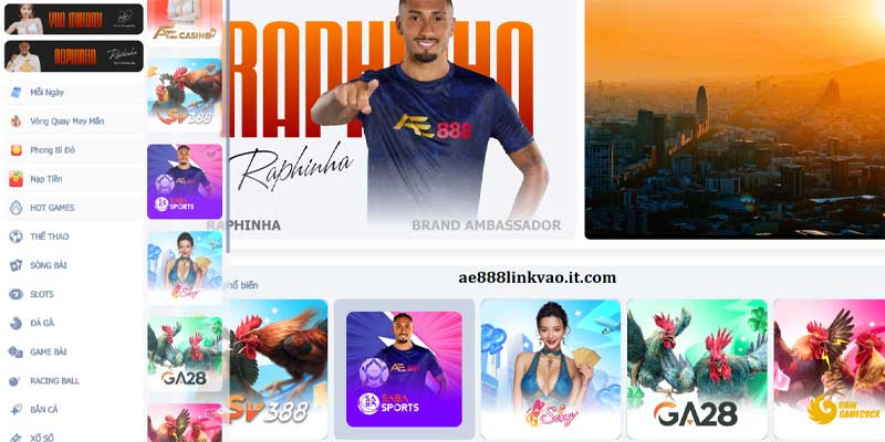 Đá gà là bộ môn được yêu thích nhất tại AE888